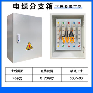 Peng aixin mineral cable t junction box copper bar branch terminal split box bttrz national standard equipotential transfer conversion box 6-70 square t junction box