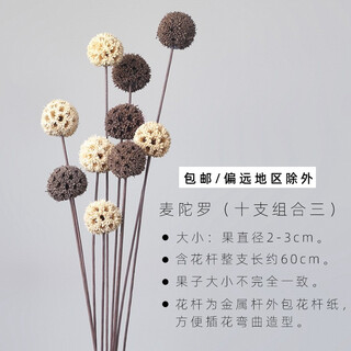 Aesthetic hacker living room flower arrangement dried flower bouquet real flower mix and match floor furnishing restaurant desktop pinecone decoration natural photo props medora 2 color mixed colors 10 count