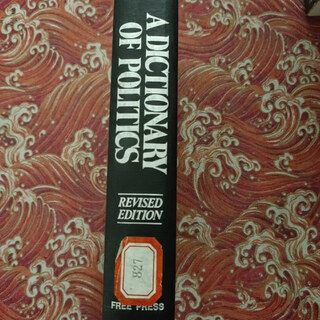 Out of print old book a dictionary of politics