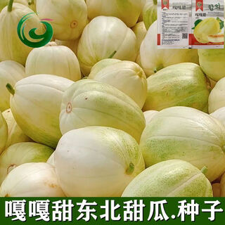 Gaga sweet northeastern cantaloupe seeds yellow melon fruit seeds easy to plant in spring and autumn old farm varieties with high sugar content original factory packaging 1 pack + song fertilizer gaga sweet musk melon seeds about 50 capsules--pack