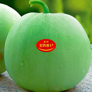 Beishu melon seeds, high sugar, early maturing, winter and spring sowing, yu naoxiang no. 1 melon seeds, 20 capsules