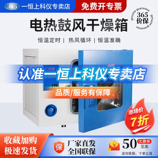 Yiheng shanghai electric blast drying oven laboratory oven industrial oven high temperature constant temperature test chamber dhg-9030a 250 30 liters stainless steel