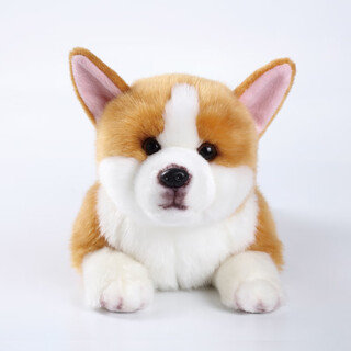 科迈特 柯基狗毛绒玩具公仔玩偶娃娃摆件抱枕情人节生日礼物儿童送女友