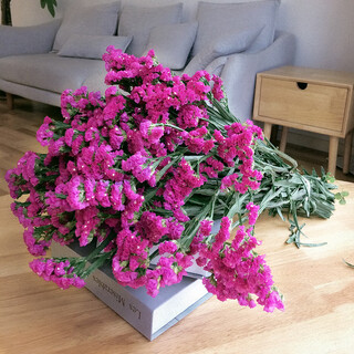 Aiman yunnan natural style forget-me-not dried flower bouquet real flower decorative ornaments living room small and large flower arrangements jin jin is equal to 0.5 kg, sold as gifts, rose red forget-me-not, 50 pieces in total, semi-dried branches