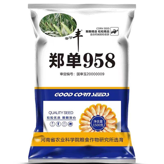 Zhengdan 958 maissamen-sammlung, kurzer stiel, doppelstab, dürre- und Überschwemmungsresistenz, lagerresistenz, akademie der agrarwissenschaften, zhengdan 958, 1500 gramm pro beutel, kann auf einem hektar gepflanzt werden