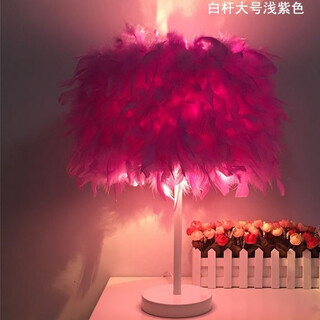 曜添创意简约欧式羽毛台灯卧室床头公主婚房温馨LED生日礼物玫瑰台灯 大号白杆浅紫色羽毛 三档调光