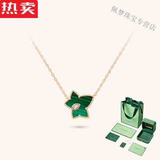 Snqp ivy necklace earrings malachite laura rose light luxury niche new year women summer