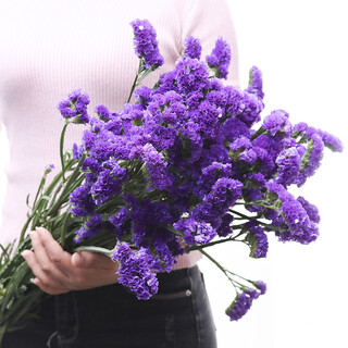 Aiman yunnan forget-me-not dried flower bouquet mix and match home accessories home furnishings office decoration flowers photography props free purple forget-me-not solid color about 40 pieces (excluding bottles)