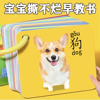 骉祥动物卡片认知早教儿童识字看图识物启蒙书婴幼儿宝宝玩具水果y 动物世界