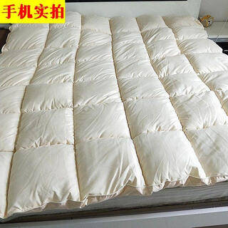 羽绒被95白鹅绒被子被芯春秋被双人加厚保暖冬被单人宿舍棉 羽绒被米黄 180X220cm6斤