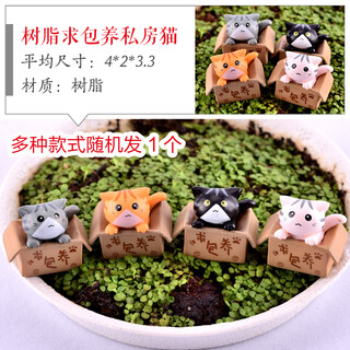 Shiguang xiaozhan rockery bonsai ornaments decoration absorbent stone fish tank aquarium landscaping micro landscape fisherman's small house ornaments resin please keep a private cat