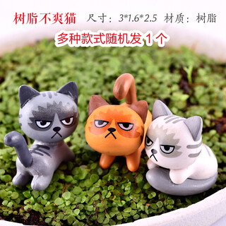 Shiguang xiaozhan rockery bonsai ornaments decorative absorbent stone fish tank aquarium landscaping micro landscape fisherman's small house ornaments resin grumpy cat