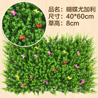 Dou tu gardening green plant wall simulation plant turf wall decoration indoor background flower wall green wall hanging plastic fake lawn door head butterfly eucalyptus