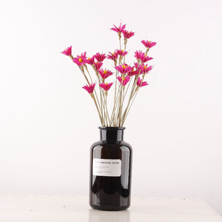 Youyi dried flowers (fugui orchid) dried flower bouquet and vase set dried plant flowers real flowers home living room floral decoration rose red fugui orchid 10 count (vase not included)