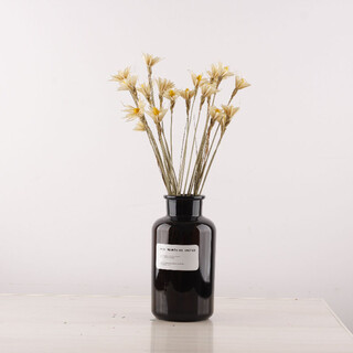 Youyi dried flowers (rich orchid) dried flower bouquet and vase set plant dried flowers real flowers home living room floral decoration 10 beige rich orchids (vase not included)