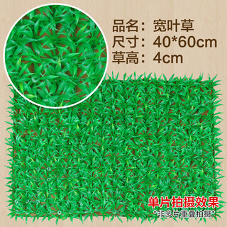 Doutu gardening green plant wall simulated plant turf wall decoration indoor background flower wall green wall hanging plastic fake lawn door head broad-leaf grass