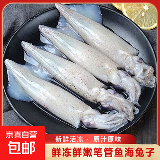 Fresh quick-frozen tube fish, fresh sea-caught nudibranch squid, direct delivery from lianyungang 1500g (net weight) 3 jin jin equals 0.5 kg 3 packs
