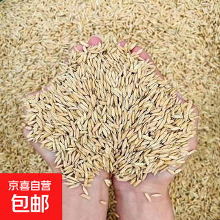 Feed raw materials grains, rice in husk, chicken feed, rice husk, pigeon grain, pigeon grain, soybean meal, sheep feed, rice grain, feed husk rice, 40 jin, jin is equal to 0.5 kilograms