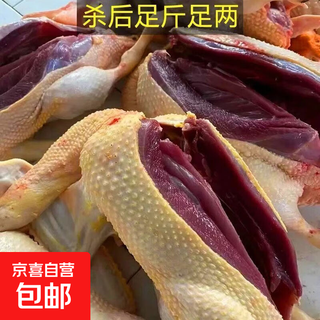 Halal galloping geese by the yellow river, free-range flying ducks, large whole non-old ducks, fresh and frozen, eviscerated with claws, wings and head and claws. the net weight after killing is 6.1-7.1jin. jin is equal to 0.5kg. you will get a premium material package when you place an order.