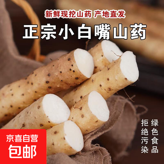 Fresh hebei authentic xiaobaizui yam iron bar yam hemp yam medicine and food homologous food supplement yam xiaobaizui yam 500g 20cm-30cm/root