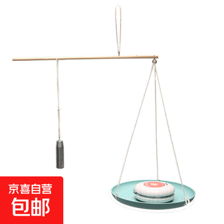 Jd logistics steam science experiment set diy handmade toys children's day gift for primary school students children's gift early education puzzle parent-child interaction children's creative wooden handmade steel scale