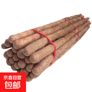 Fresh iron bar yam, sandy soil iron bar yam, henan jiaozuo huaifu specialty iron bar yam, fresh iron bar yam 5 jin jin is equal to 0.5 kg 40-60cm