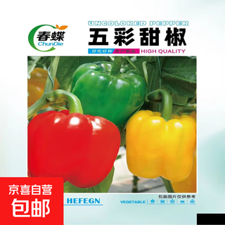 Spring butterfly vegetable seeds are sown in pots for all seasons, balcony garden peppers, gourds, melons, shredded pork, hanging radish, easy to sow seeds, colorful bell peppers, original 1 pack, about 300 pieces, one pack (trial planting)