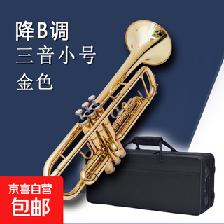 Xinmel b-flat three-note trumpet instrument for students, children, adults, beginners, grade examination orchestra, professional teaching performance, gold