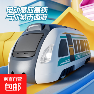 仿真火车电动小火车高铁声光音乐儿童卡通玩具男孩女孩汽车益智 【声光音乐】高铁列车-黑色