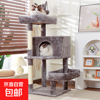 Jd express lezhizhi cat climbing frame cat nest cat tree integrated jump platform small kitten climbing frame cat toy cat tree explorer