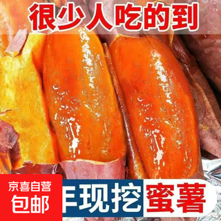 Shandong yanshu no. 25, sweet potato, candied sweet potato, fresh sweet potato, farm sand roasted sweet potato, small fruit (single fruit weighs 100-250g), net weight 5jin jin is equal to 0.5kg, family size-affordable size