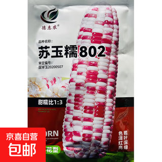 White, sweet and waxy corn seeds, high-yielding, sown in all seasons, white waxy corn, non-transferable, nationally approved, super sweet and waxy corn seeds, su yunuo 802 corn seeds, original 200g