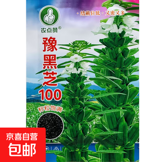 Black sesame seed oil extraction academy of agricultural sciences hybrid high oil stable yield short stem eight-edge white sesame seed base special seed henan black sesame seed 100 original 20g 1 bag