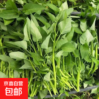Large-leaf three-pronged high-yielding water spinach seeds in field farmyards, four-season green cabbage seeds, vegetable seeds, larvae seeds, a water spinach seeds 1 pack