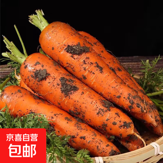 Jingxijia freshly dug and grown carrots farm-grown vegetables and fruits sand carrots with mud carrots 3jin jin equal to 0.5kg, including box