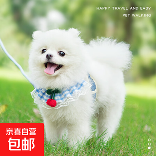 Dog leash cute harness cat walking rope teddy small dog chain dog rope blue harness 1 pack m size (suitable for busts 35-60)