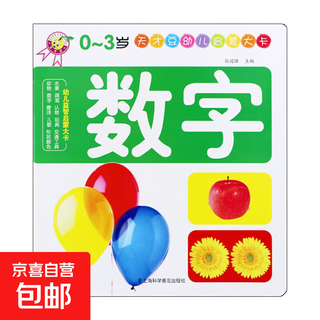 幼儿启蒙大卡儿童早教认知少儿图书宝宝书籍动物水果玩具数字儿歌 幼儿启蒙大卡 数字