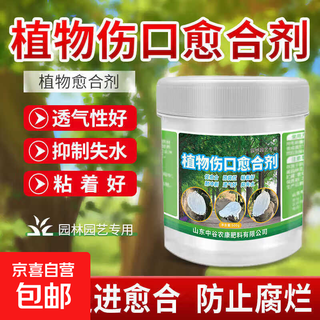 Zhonggu nongkang plant healing agent fruit tree wound healing cream potted coating agent branch grafting healing smear large source factory brush in the package plant wound healing agent large packaging 500g*1 bottle