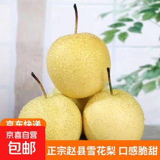 Jingxi jiazhao county snowflake pear hebei authentic snowflake pear suitable for soup with box 2jin jin equals 0.5kg special offer (net weight 1.6-1.8jin jin equals 0.5kg)
