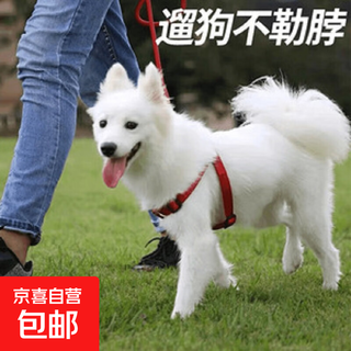 Hot-selling pet leash upgraded and reinforced dog walking cat teddy golden retriever harness dog leash dog harness s size
