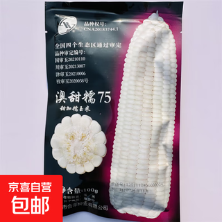 Weiße, süße wachsmaissamen, ertragreich, zu jeder jahreszeit gesät, weißer und wachsmais, nicht übertragbar, national zugelassen, supersüße und wachsmaissamen, australische süß- und wachsmaissamen, original 100 g