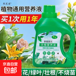 Nutrient solution plant general flower fertilizer fortune tree rich bamboo green dill hydroponic potted household flower flower fertilizer general type 500 ml bottle