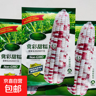 Weiße, süße und wachshaltige maissamen, ertragreich, zu jeder jahreszeit gesät, weißer wachsmais, nicht übertragbar, staatlich zugelassen, supersüße und wachsartige maissamen der bauern, jicai tiannuo nr. 1 maissamen, 200 g, 1 beutel