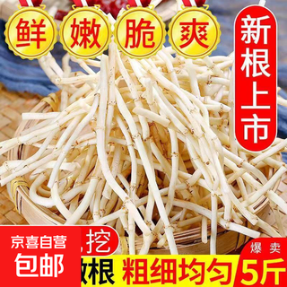 Fresh houttuynia cordata, farm-grown and dug pig nostril root, local specialty vegetables mixed with coriander, ready to eat 2jin jin is equal to 0.5kg, freshly dug