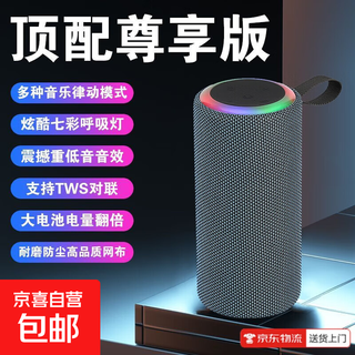 无线蓝牙家用音响低音炮大音量高音质重低音户外车载小型音箱 蓝-HiFi无损音效/震撼重低音