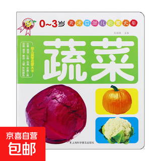 幼儿启蒙大卡儿童早教认知少儿图书宝宝书籍动物水果玩具数字儿歌 幼儿启蒙大卡 蔬菜