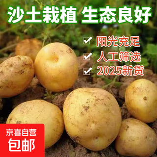 Dongdong farm exclusively supplies 25-year-old shandong fresh potatoes, yellow heart, yellow skin potatoes, yellow heart potatoes, vegetables, yellow skin, yellow heart potatoes, 3jin jin equals 0.5kg, with box, medium-sized fruit