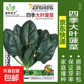 Vegetable seeds sown in pots for all seasons, balcony courtyard, cilantro, lettuce, spinach, radish, onion, simple and easy to sow seeds, four-season large-leaf spinach, about 1,000 pieces