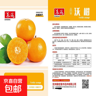 Authentic wogan seedless fruit saplings, wuming wogan seeds, wogan seeds, can be planted in the north and south, wogan seeds, two packs of about 20 pieces