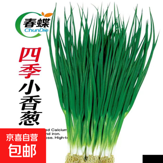 Spring butterfly vegetable seeds for four seasons sowing potted plants for balcony courtyard cucumbers, beans, tomatoes and melons easy-to-sow seeds all seasons chives original 1 pack about 800 one pack (trial planting is expensive in the express fee)